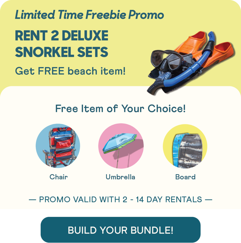 Maui Snorkel Rental The Snorkel Store 2For1 Promo
