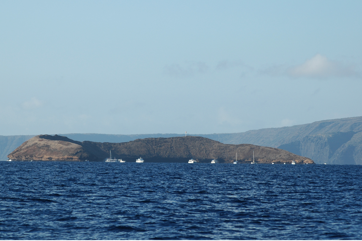 Molokini crater