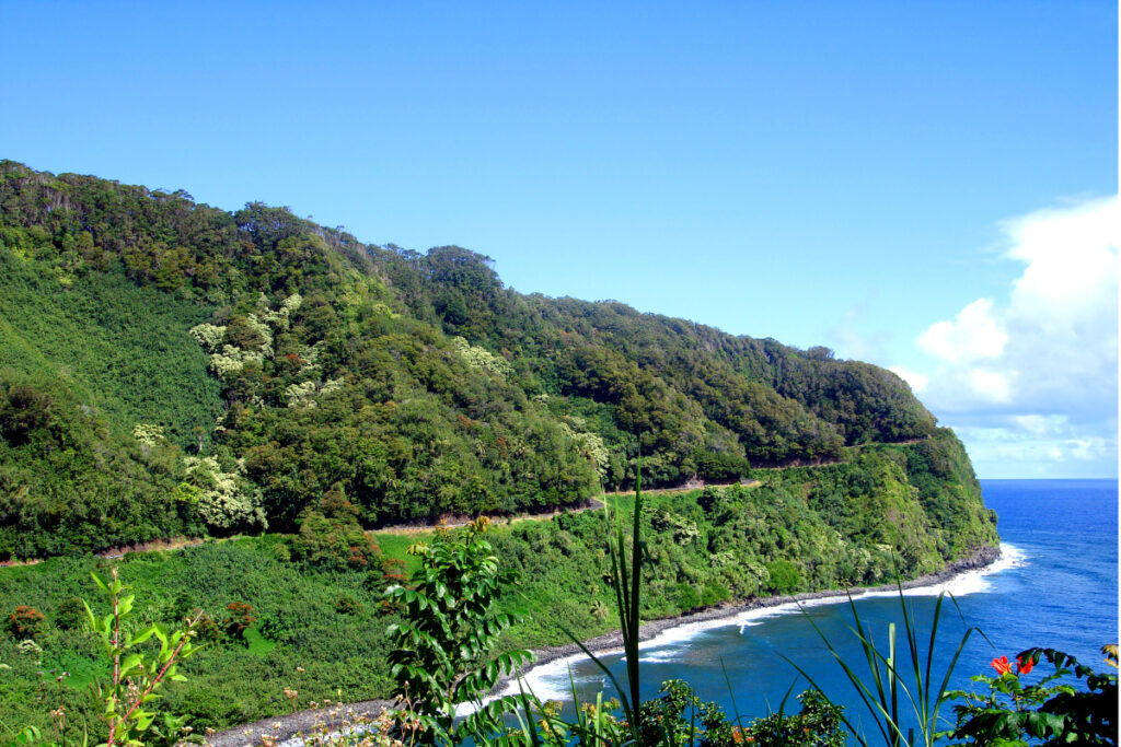 Things To Do In Paia and Maui's North Shore