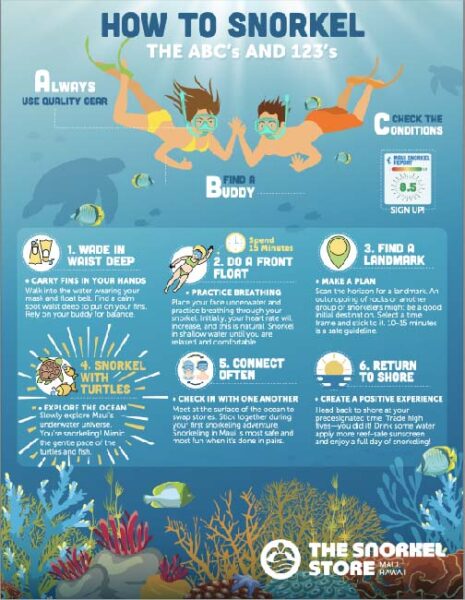 How To Snorkel - The ABC's And 123's - The Snorkel Store