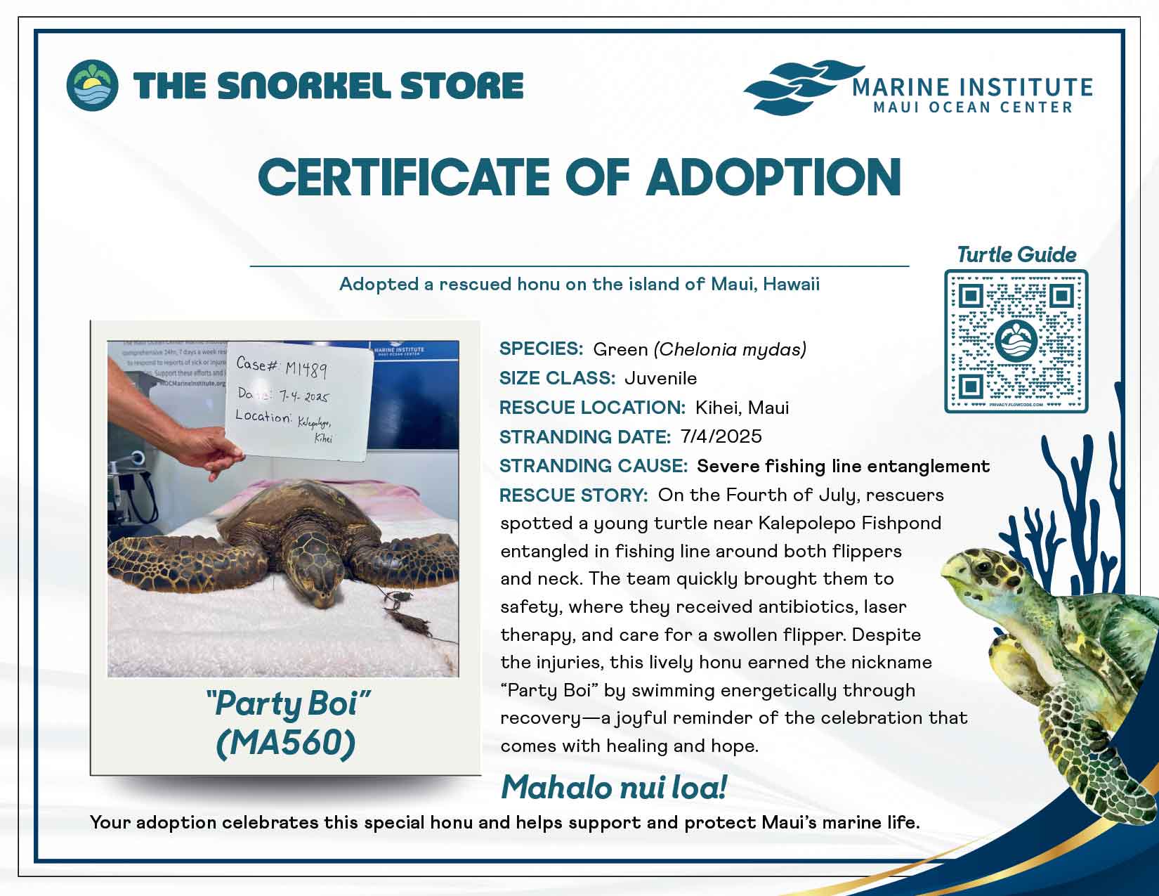 Turtle adoption certificate