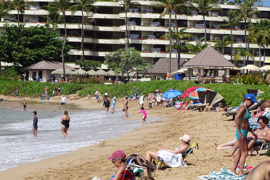 Maui Beaches Guide The Snorkel Store
