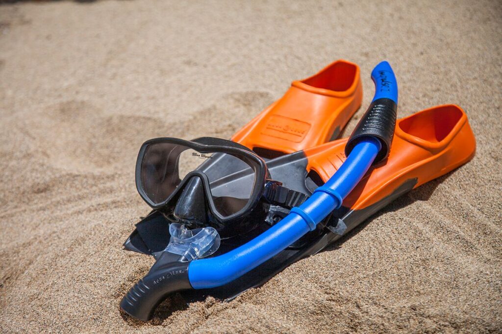 Daily Maui Rentals The Snorkel Store 50 Off Promo