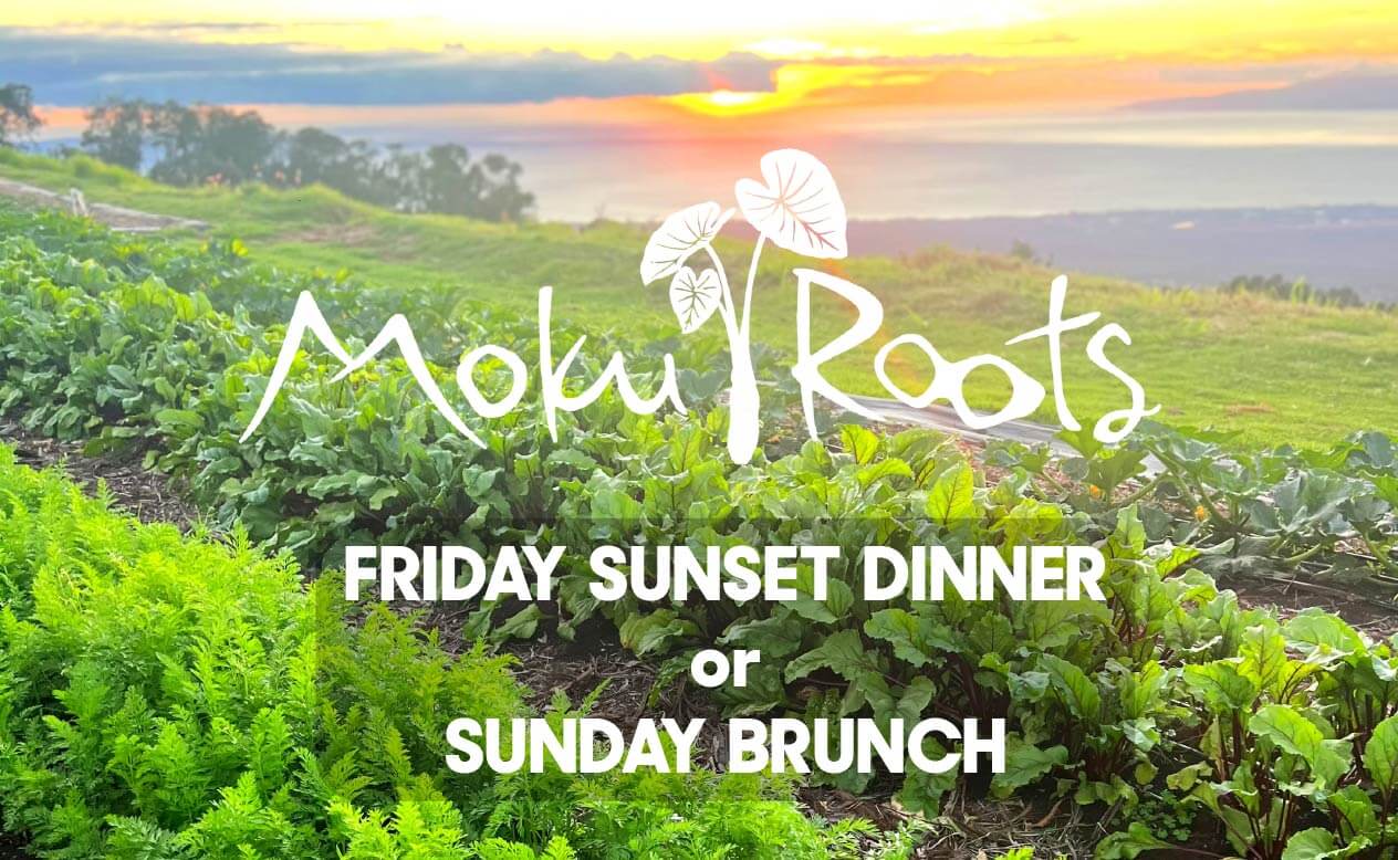 Moku Roots coupon