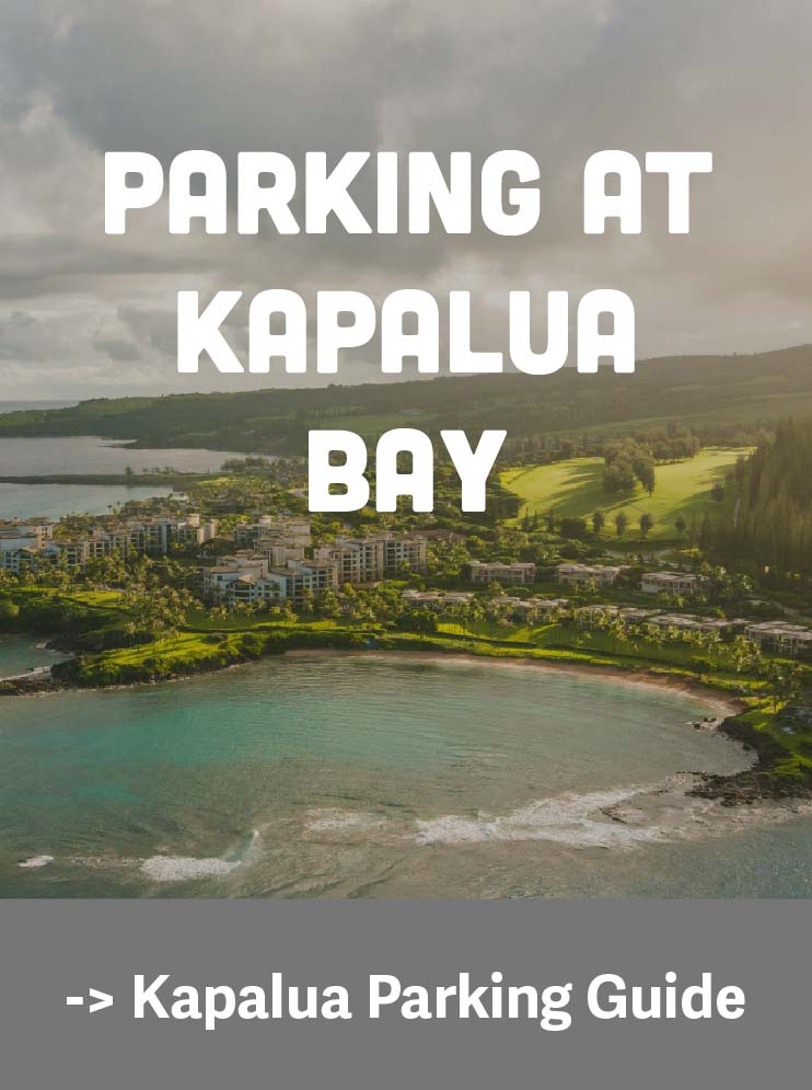 Kapalua Parking