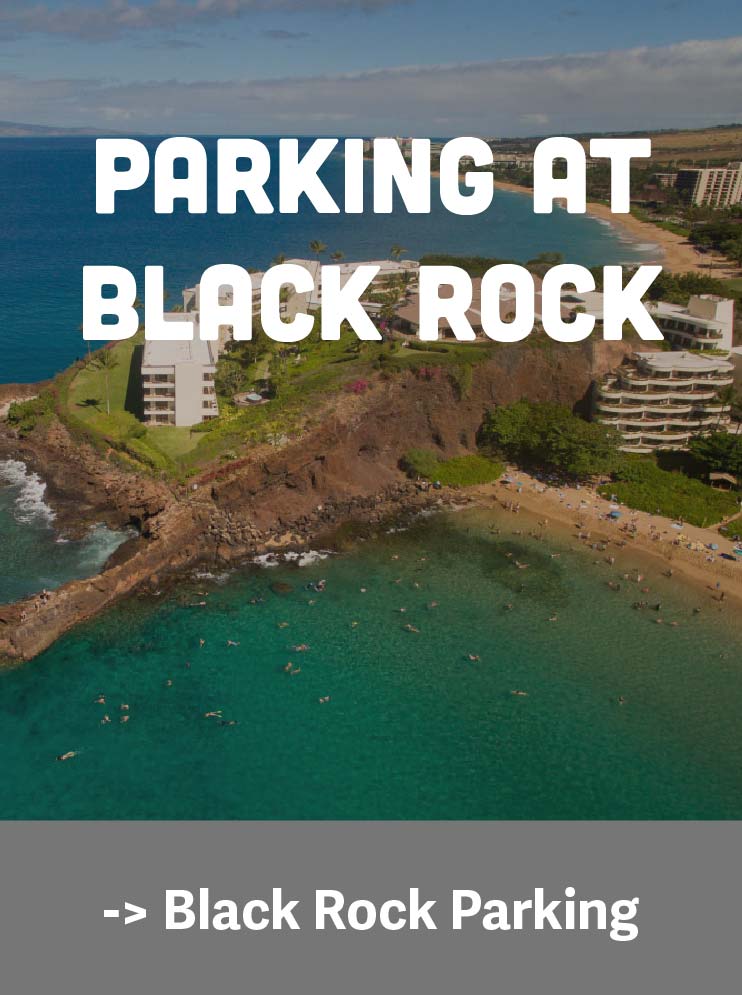 Black Rock Parking Guide