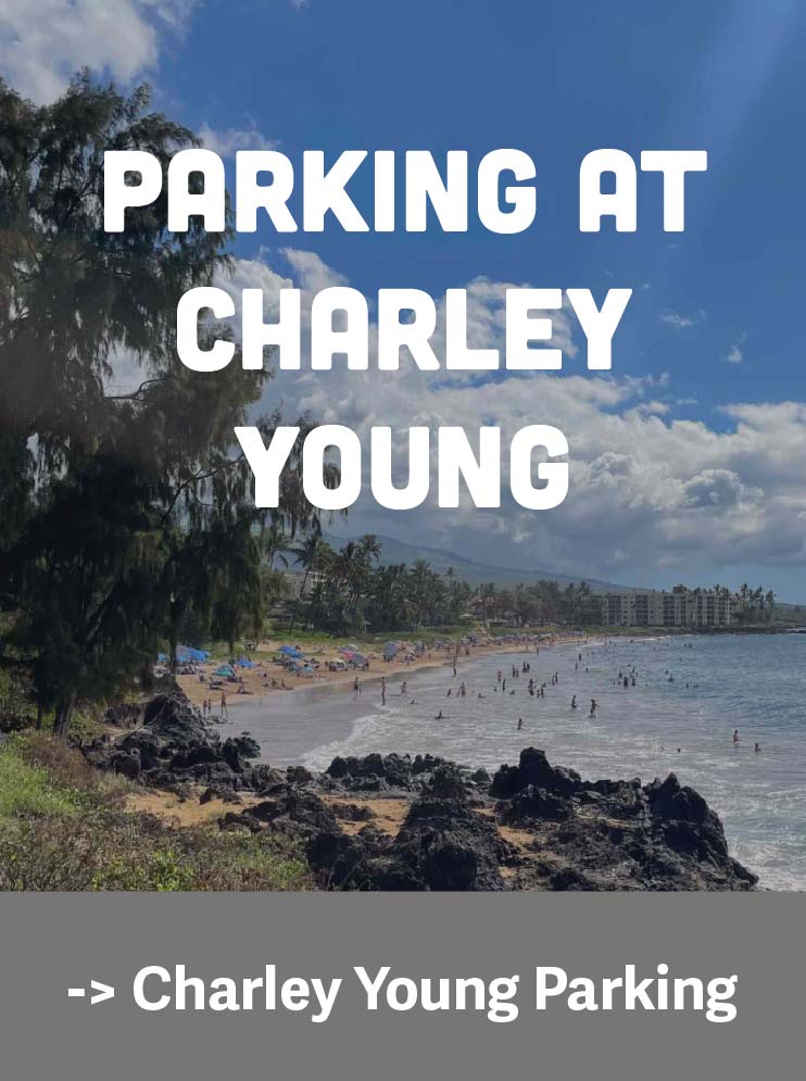 Charley Young parking guide